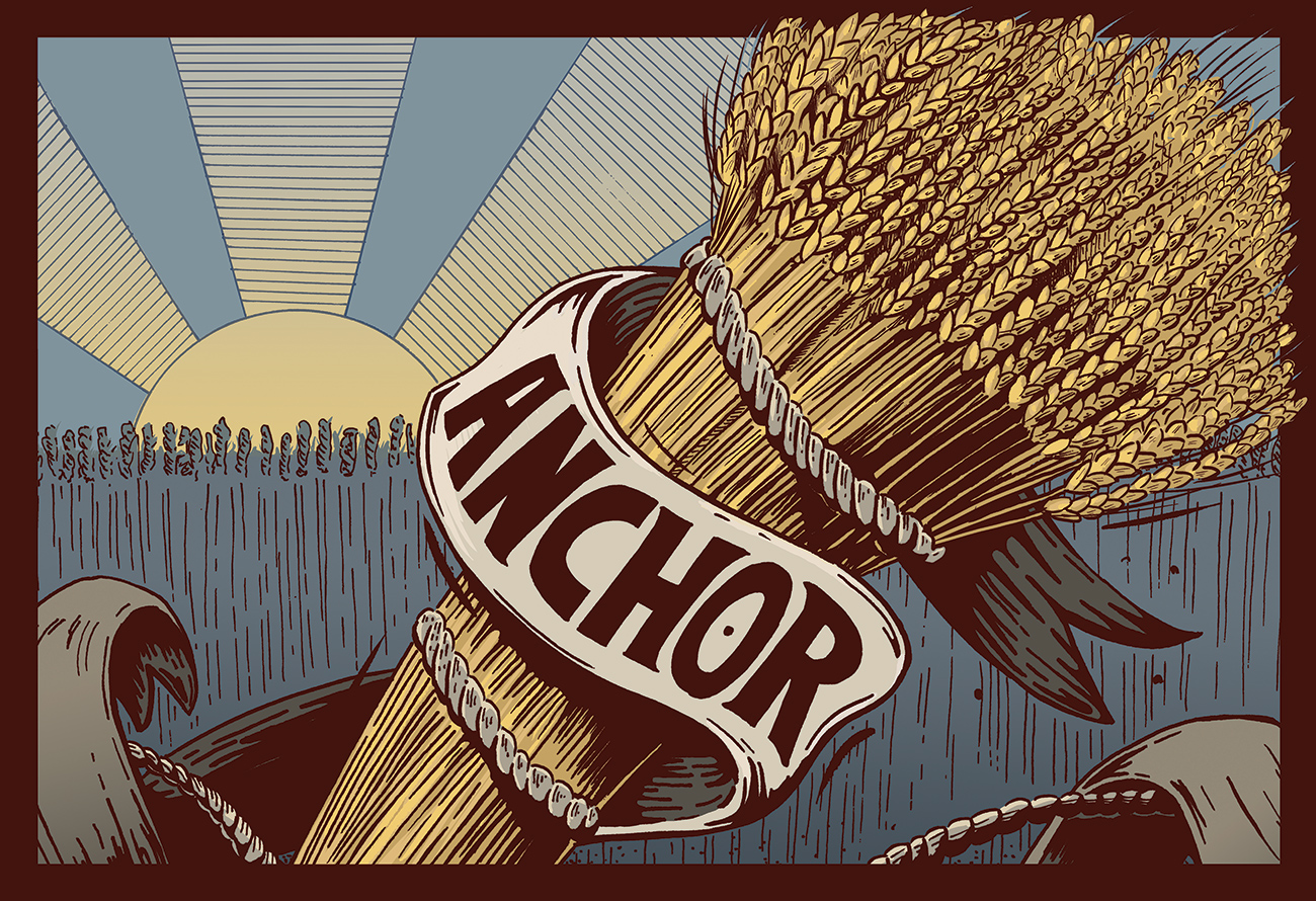 limagrain-cereal-seeds_anchor_shane-miles-design