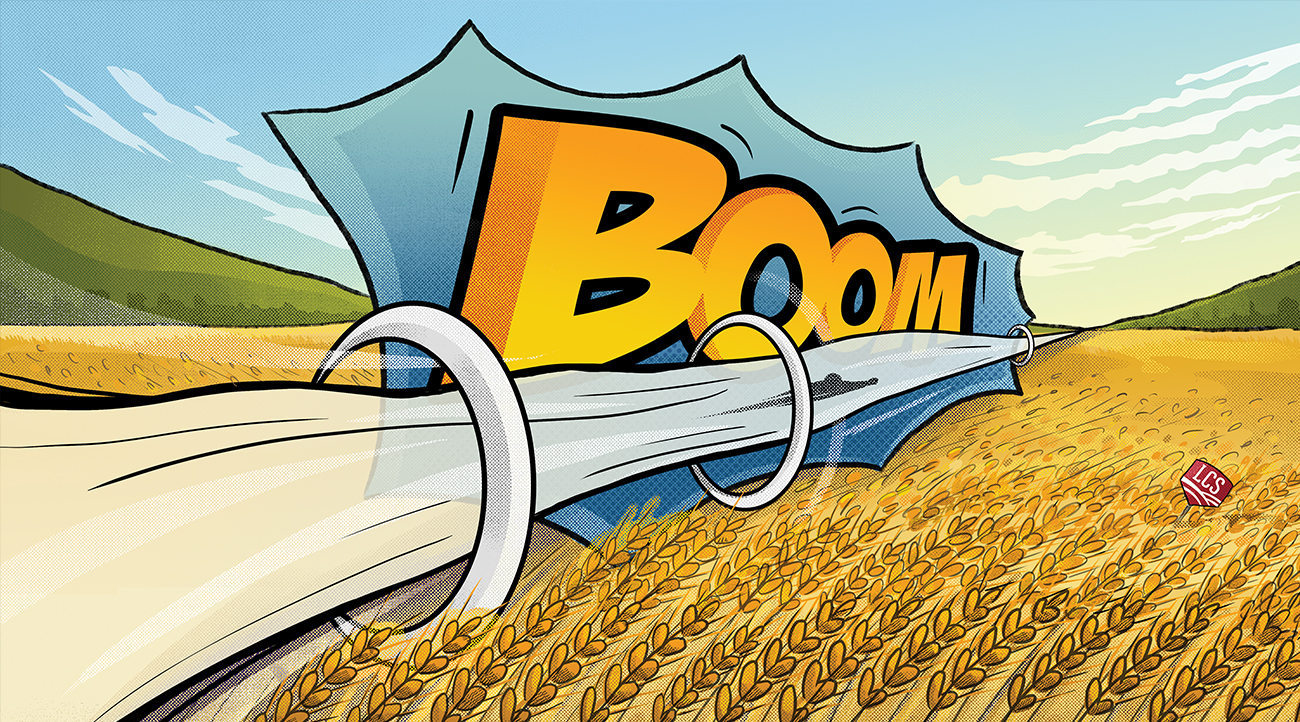limagrain-cereal-seeds_sonic_shane-miles-design